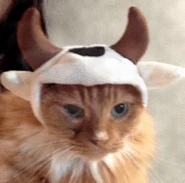 Pi Network突破关键趋势线，V20.2升级推动价格上扬至0.23美元上方