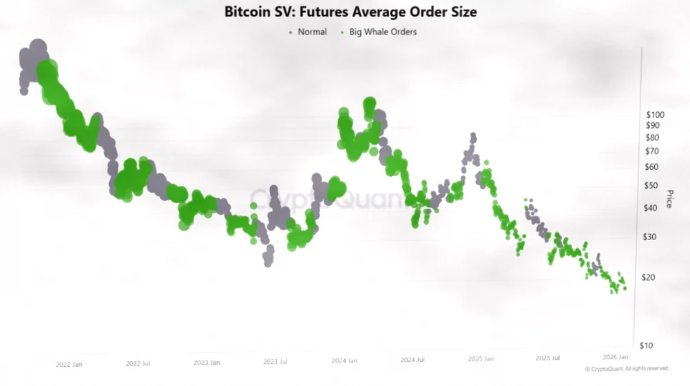 比特币SV (BSV) 价格预测：2026-2030年能否突破100美元？插图3