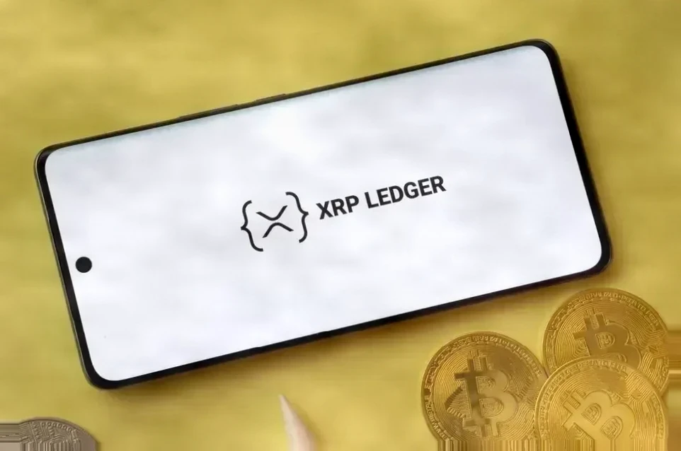 XRP账本交易活动超五成集中支付，RLUSD稳定币领跑