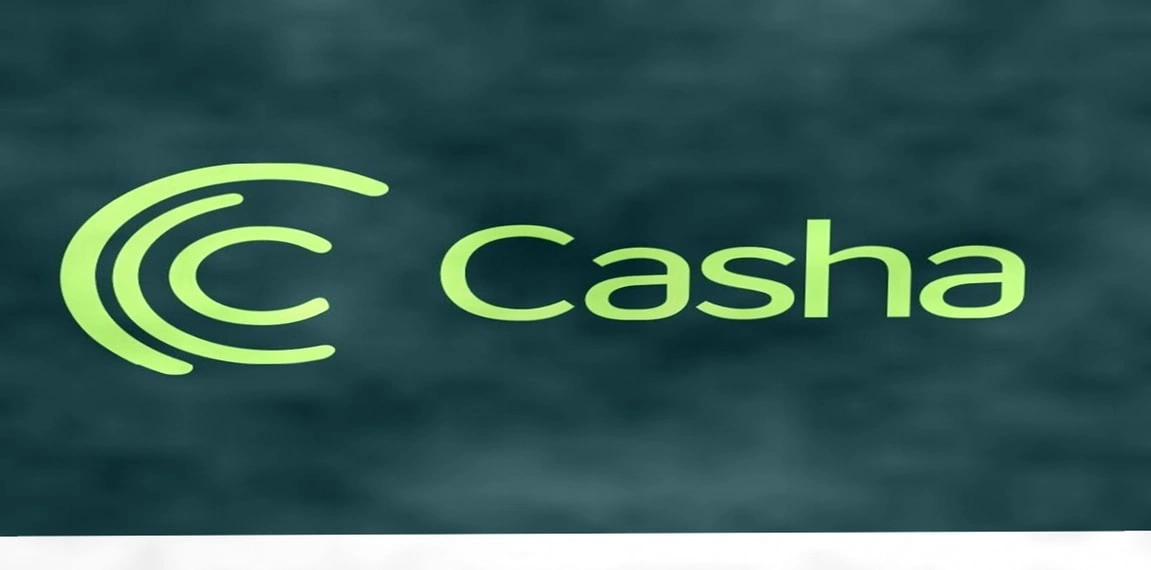 Casha能否成为下一个独角兽？插图
