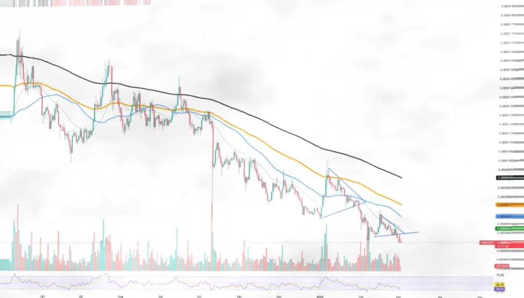Shiba Inu单日净流出3370亿枚，市场仍处筑底阶段插图