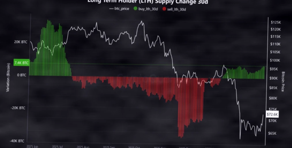 比特币见底信号浮现？五大链上指标揭示潜在底部形态插图2