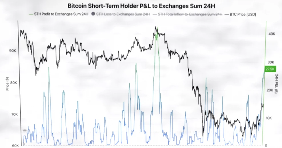 比特币见底信号浮现？五大链上指标揭示潜在底部形态插图1