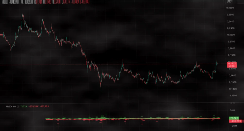 Stellar XLM 在支付代币轮换中展现出强劲表现插图