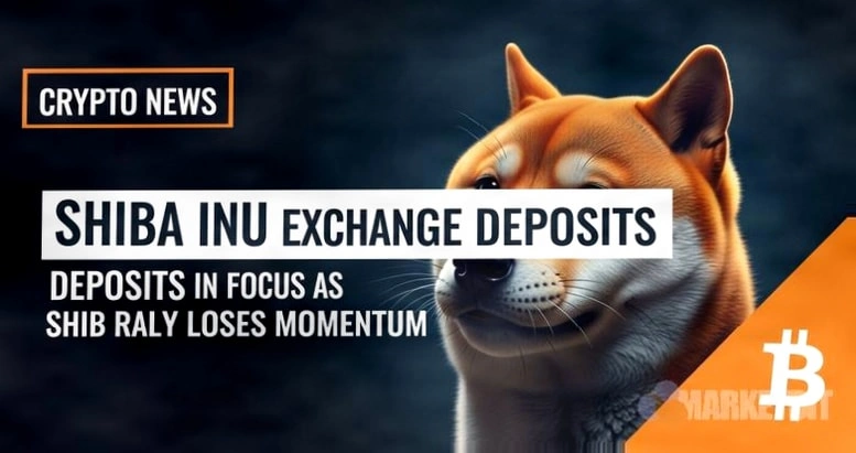 Shiba Inu交易所存款关注度上升，SHIB反弹势头减弱