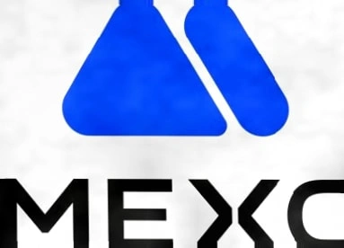 MEXC职场女性数据：女性占比高达43%，同比增长49%插图