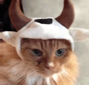 比特币今日价格分析：看涨旗形突破，下一步潜在上涨趋势？