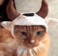 2026年币安在加密交易中的主导地位与期货交易量激增