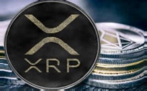 Dom Kwok对XRP持有者的忠告：现在锁定还是永远打卡？