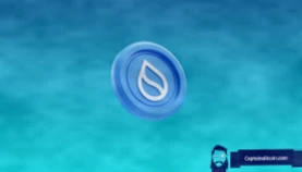 SUI价格回升艰难：顶级分析师揭示市场数据背后的真相